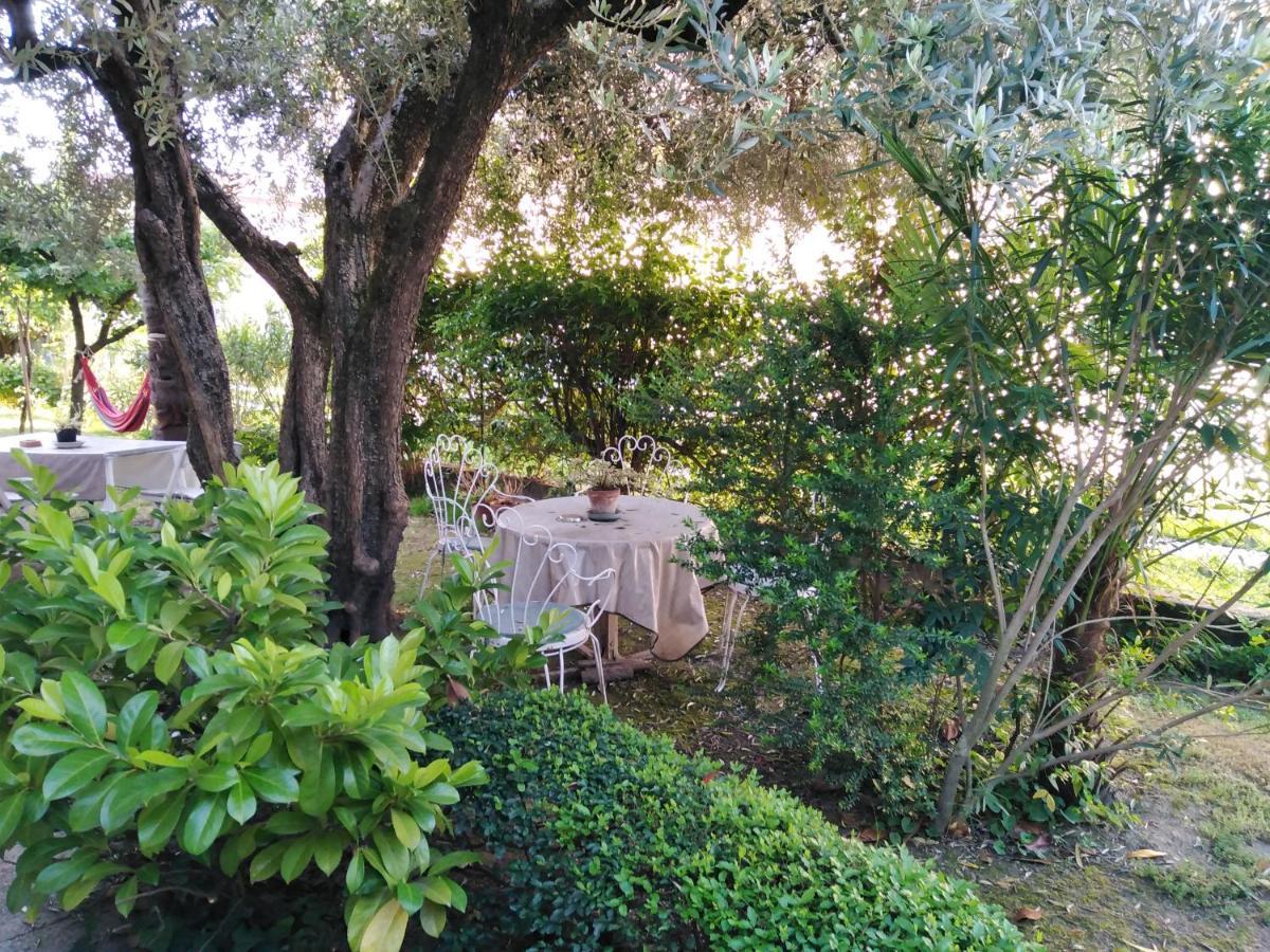 Bed and Breakfast Casa Irene à Torri di Quartesolo Extérieur photo